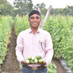 खीरे की बंपर पैदावार से बदली किसान सुरेश की तकदीर, धान के बदले सब्जी की खेती से हुआ 2.50 लाख का मुनाफा
