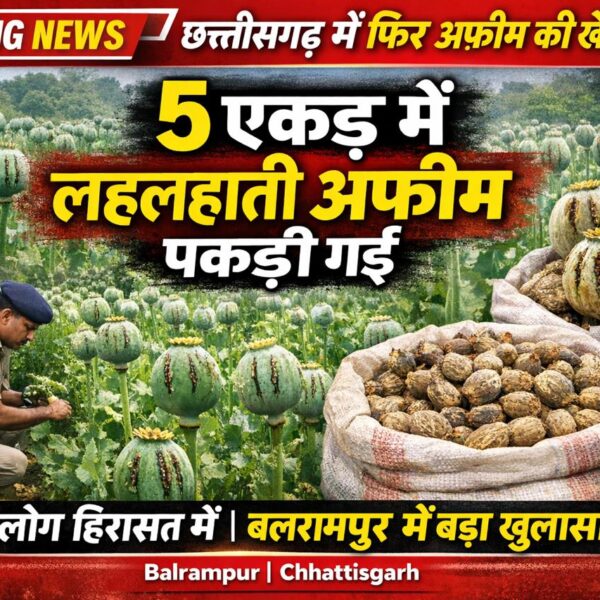 बलरामपुर में 5 एकड़ में लहलहाती अफीम की खेती उजागर, भाजपा नेता का नाम आया सामने — 5 गिरफ्तार
