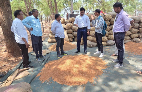 जिले में पीएम आशा योजना के तहत दलहन-तिलहन की खरीदी, 108 किसानों को 40.41 लाख रुपए का भुगतान