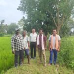 लगातार बारिश से फसलों में कीट व रोगों का खतरा : कृषि विभाग ने जारी की एडवायजरी, किसानों को दी बचाव की सलाह