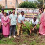 पीएमश्री नवोदय विद्यालय डोंगरगढ़ में वृक्षारोपण, रोपे गए पौधे