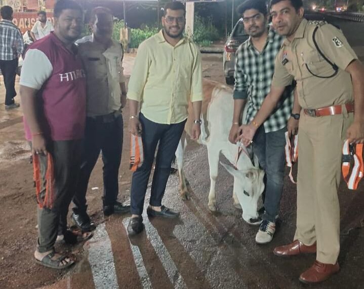 सड़क सुरक्षा के मद्देनज़र राजनांदगांव पुलिस की पहल : सड़कों से हटाए जा रहे आवारा मवेशी, हादसों को रोकने लगाए गए स्टॉपर्स