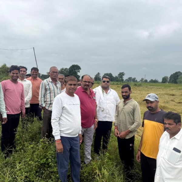 खेतों में बिछी धान की फसल देख किसानों का दर्द जाना, मुआवजे के लिए शहर कांग्रेस ने सौंपा ज्ञापन