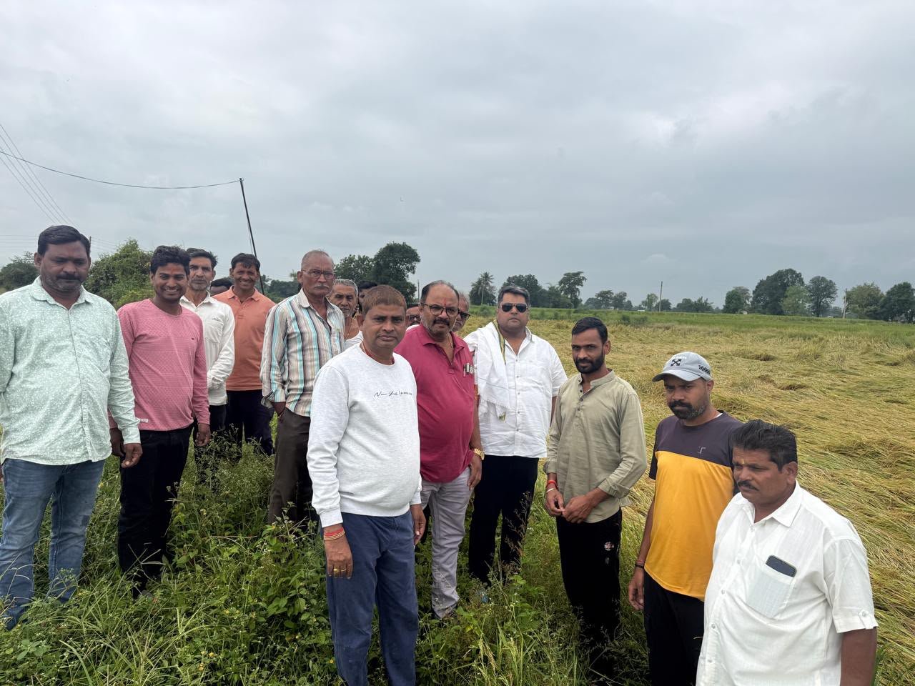 खेतों में बिछी धान की फसल देख किसानों का दर्द जाना, मुआवजे के लिए शहर कांग्रेस ने सौंपा ज्ञापन
